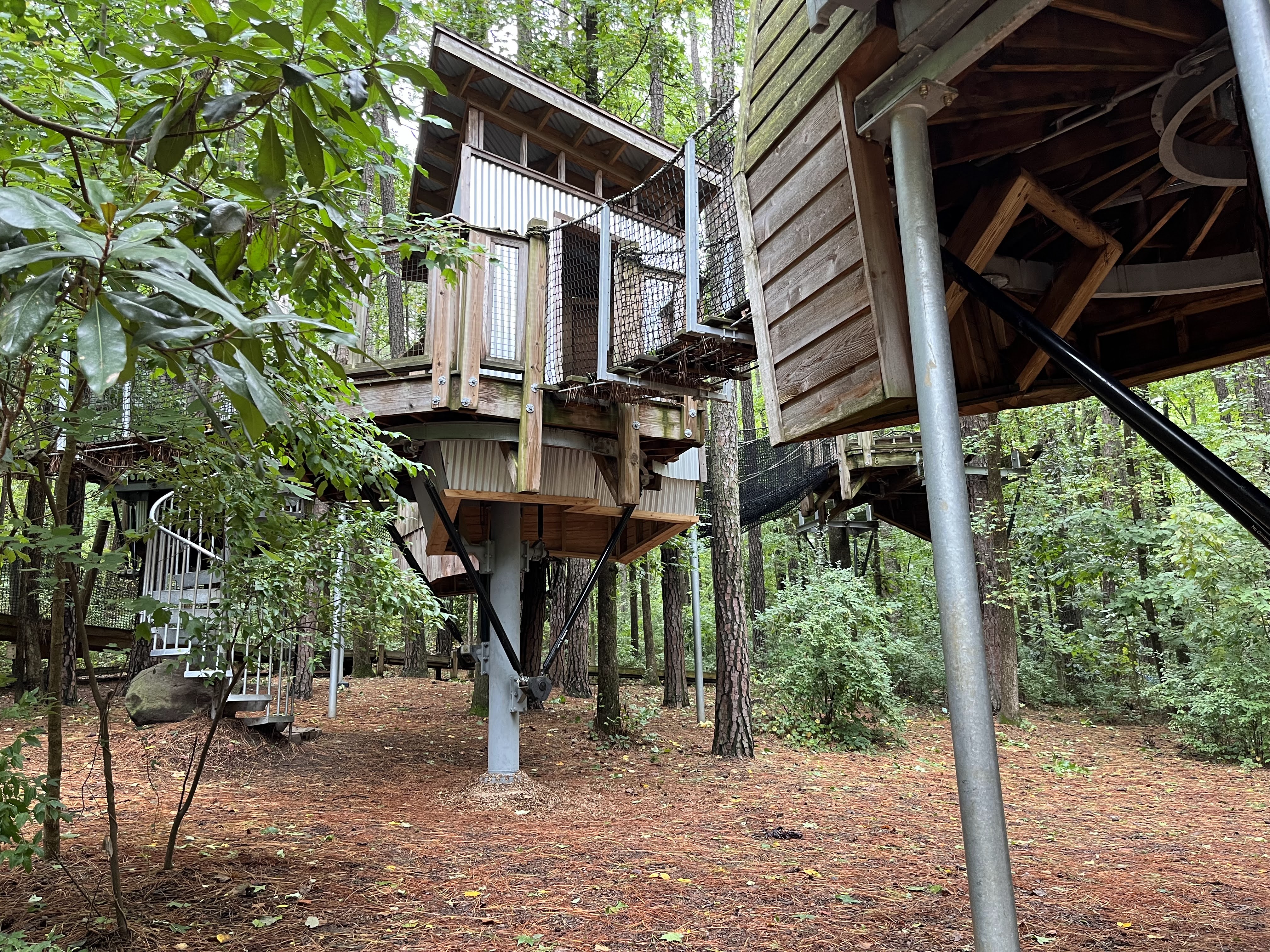 The Museum of Life and Science